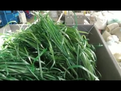 เครื่องบดวัสดุอ่อนแบบมีแกนเดียว